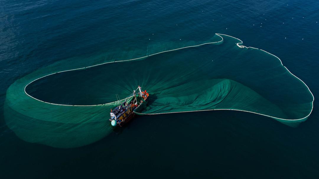 Trawl Watch